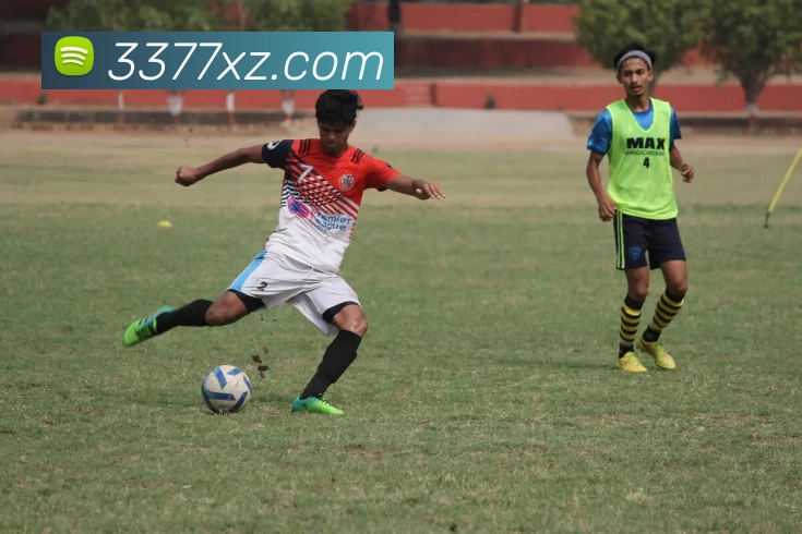 3377体育app发展历程